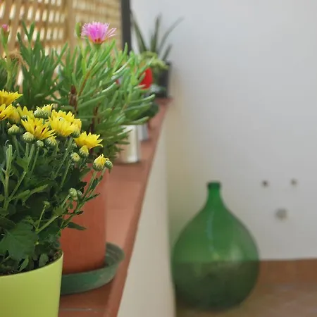 Annurca * 那不勒斯